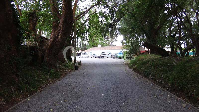 Allée en gravier bordée d'arbres menant à un parking avec plusieurs véhicules stationnés devant des bâtiments.