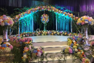 Assiette composée de riz safrané garni d'amandes et raisins secs, jarret d'agneau en sauce et accompagnements.