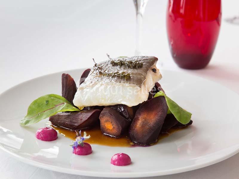 Location salle La Roche-Posay (Vienne) - Casino de la Roche Posay #13 Filet de poisson sur un lit de carottes violettes, sauce et garniture de feuilles vertes, présenté sur une assiette blanche.