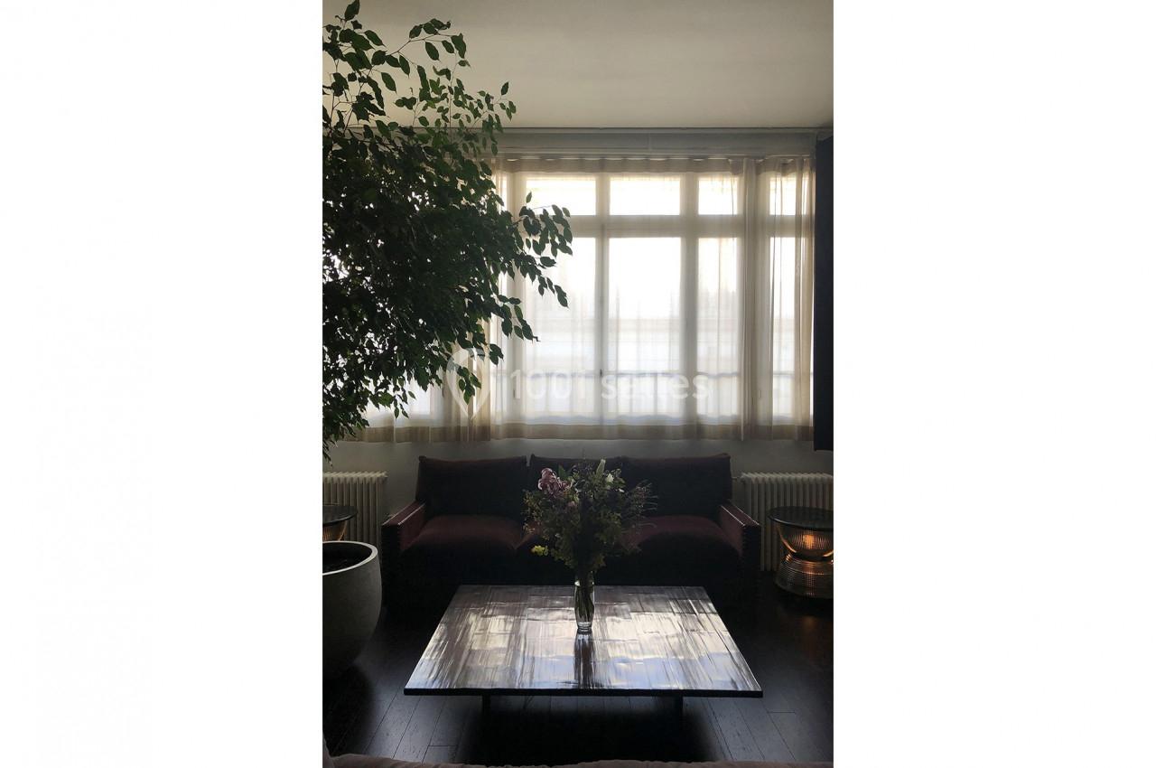 Salon lumineux avec un canapé sombre, une table basse en bois avec un vase de fleurs et un grand arbre d'intérieur.