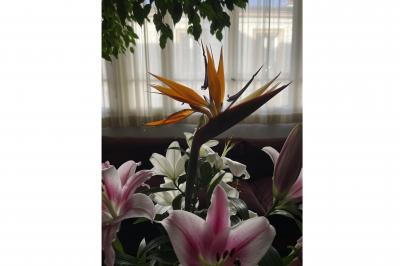 Miniature Location salle Paris 20 (Paris) - Studio 7 #27 Miniature Location salle Paris 20 (Paris) - Studio 7 #27