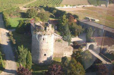 Château De La Galissonnière - photo 4