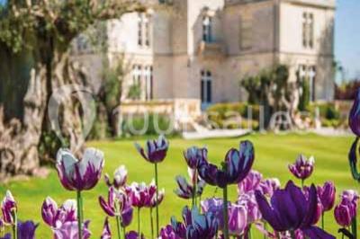 Château Pape Clément - photo 2