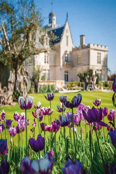 Château Pape Clément - galerie - photo 2