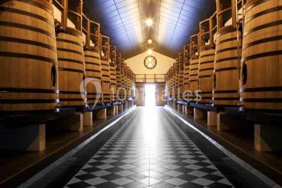Château Pape Clément - photo 3