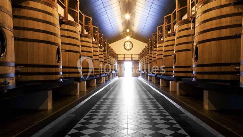 Château Pape Clément - galerie - photo 3