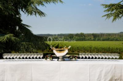 Château Fombrauge - photo 5