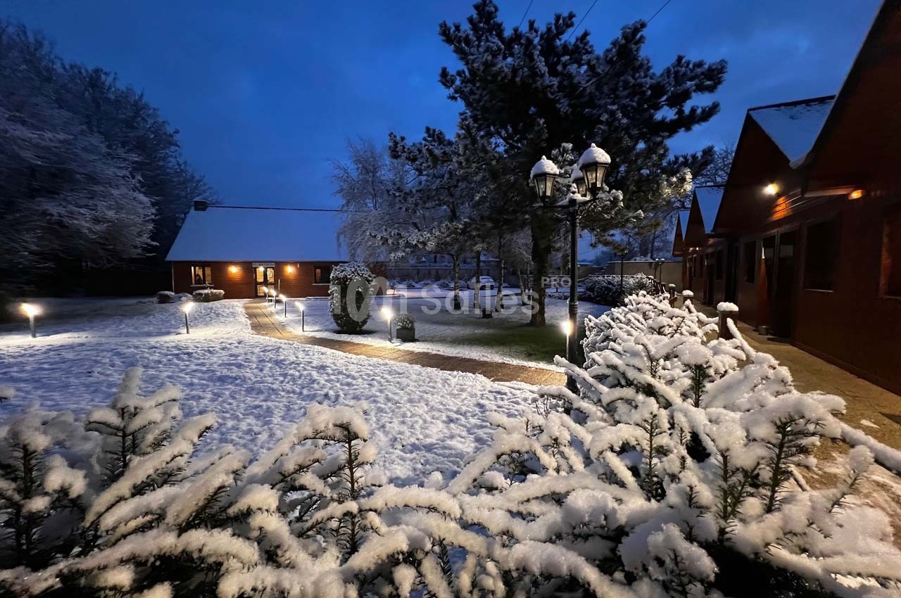 Allée bordée de buissons enneigés, éclairée par des lampadaires, avec des chalets en bois sous un ciel nocturne.