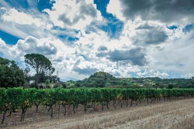 Salle lumineuse avec murs blancs et rouges, sol en carrelage beige, poutres apparentes et comptoir en pierre au fond.