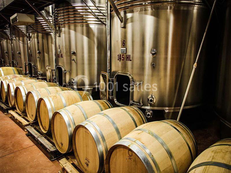 Rangées de fûts en bois et cuves en acier inoxydable dans une cave de vinification.