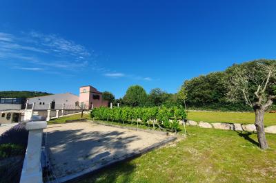 Salle lumineuse avec murs blancs et rouges, sol en carrelage beige, poutres apparentes et comptoir en pierre au fond.