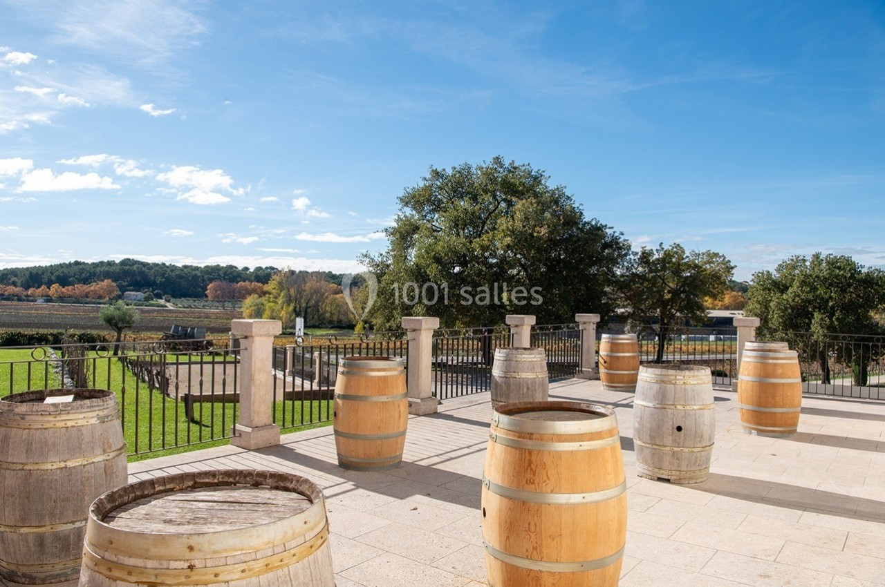 Terrasse avec des tonneaux en bois, vue sur des vignes et des arbres sous un ciel bleu.