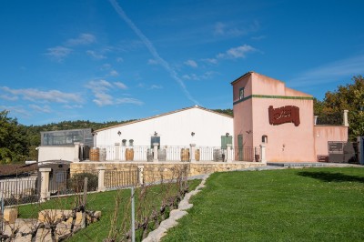 Salle lumineuse avec murs blancs et rouges, sol en carrelage beige, poutres apparentes et comptoir en pierre au fond.