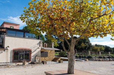 Salle lumineuse avec murs blancs et rouges, sol en carrelage beige, poutres apparentes et comptoir en pierre au fond.