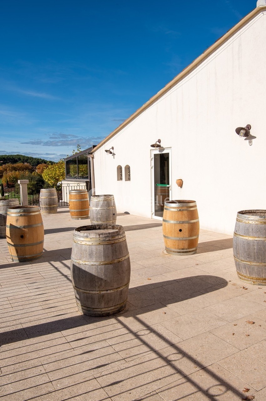 Barriques en bois disposées sur une terrasse ensoleillée devant un bâtiment blanc, avec un paysage naturel en arrière-plan.