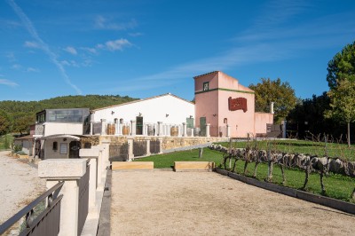 Miniature Location salle Rognes (Bouches-du-Rhône) - Domaine Naïs #4 Vignes en premier plan avec un bâtiment agricole et des arbres sous un ciel partiellement nuageux en arrière-plan.