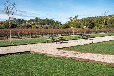 Miniature Location salle Rognes (Bouches-du-Rhône) - Domaine Naïs #10 Vignes en premier plan avec un bâtiment agricole et des arbres sous un ciel partiellement nuageux en arrière-plan.