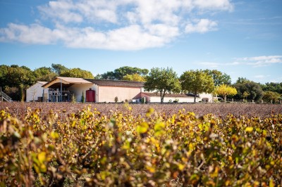 Miniature Location salle Rognes (Bouches-du-Rhône) - Domaine Naïs #14 Vignes en premier plan avec un bâtiment agricole et des arbres sous un ciel partiellement nuageux en arrière-plan.
