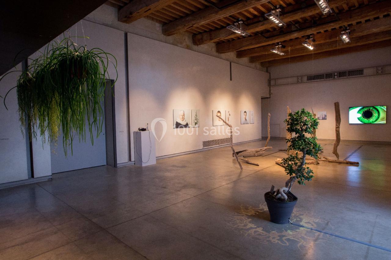 Location salle Avignon (Vaucluse) - Le Grenier à Sel #10 Salle d'exposition contemporaine avec œuvres d'art, plantes suspendues et éclairage tamisé.