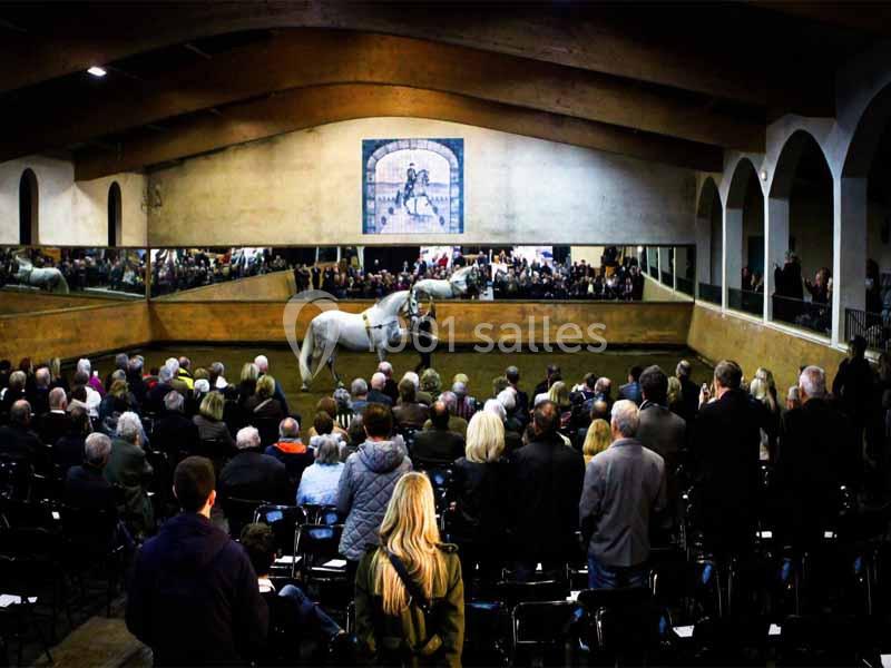 Domaine Pluvinel la Cité du Cheval - galerie - photo 9