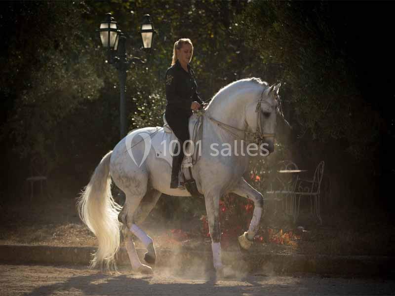 Domaine Pluvinel la Cité du Cheval - galerie - photo 13