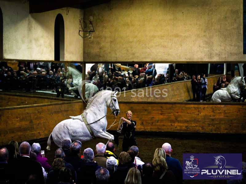 Domaine Pluvinel la Cité du Cheval - galerie - photo 10