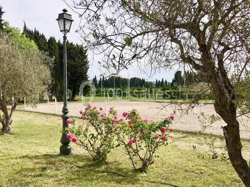 Domaine Pluvinel la Cité du Cheval - galerie - photo 11