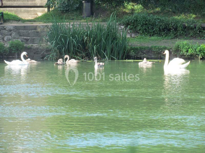 Le Chalet Des Bords De Marne - galerie - photo 8