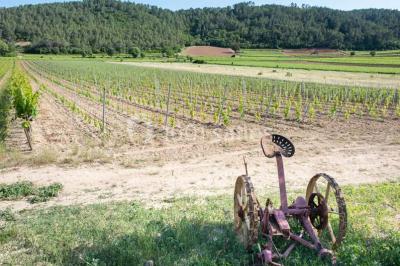 Location salle Carcès (Var) - Restaurant Le Patriarche #15