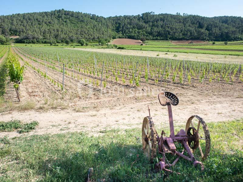 Location salle Carcès (Var) - Restaurant Le Patriarche #13