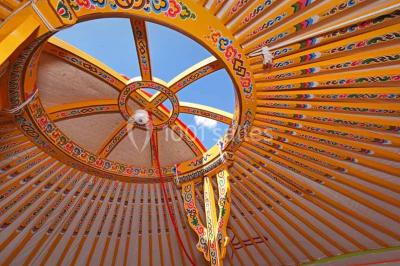 Miniature Location salle Aubepierre-Ozouer-le-Repos (Seine-et-Marne) - Grande Yourte de Réception #19 Assiette gastronomique avec une entrée raffinée composée de légumes, sauce jaune et décoration florale comestible.