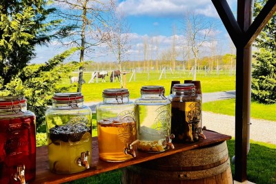 Miniature Location salle Aubepierre-Ozouer-le-Repos (Seine-et-Marne) - Grande Yourte de Réception #33 Assiette gastronomique avec une entrée raffinée composée de légumes, sauce jaune et décoration florale comestible.
