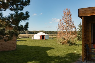 Miniature Location salle Aubepierre-Ozouer-le-Repos (Seine-et-Marne) - Grande Yourte de Réception #27 Assiette gastronomique avec une entrée raffinée composée de légumes, sauce jaune et décoration florale comestible.