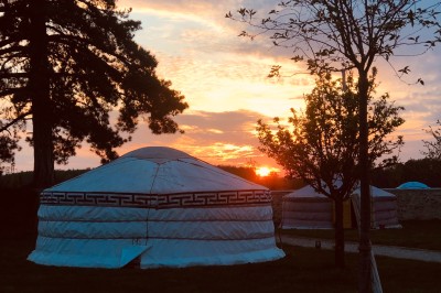 Miniature Location salle Aubepierre-Ozouer-le-Repos (Seine-et-Marne) - Grande Yourte de Réception #25 Assiette gastronomique avec une entrée raffinée composée de légumes, sauce jaune et décoration florale comestible.