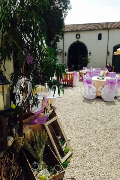 Noilly Prat - galerie - photo 8
