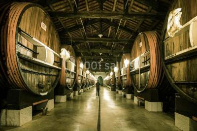 Noilly Prat - photo 3