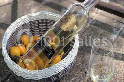 Miniature Location salle Mirepeisset (Aude) - Domaine de l'Herbe Sainte #40 Location salle Mirepeisset (Aude) - Domaine de l'Herbe Sainte #48