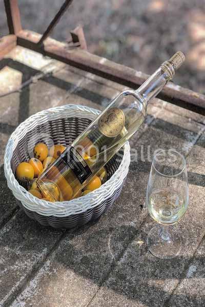 Location salle Mirepeisset (Aude) - Domaine de l'Herbe Sainte #40