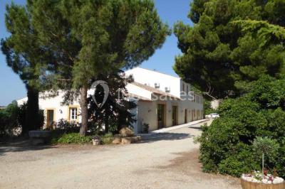 Miniature Location salle Mirepeisset (Aude) - Domaine de l'Herbe Sainte #5 Location salle Mirepeisset (Aude) - Domaine de l'Herbe Sainte #48