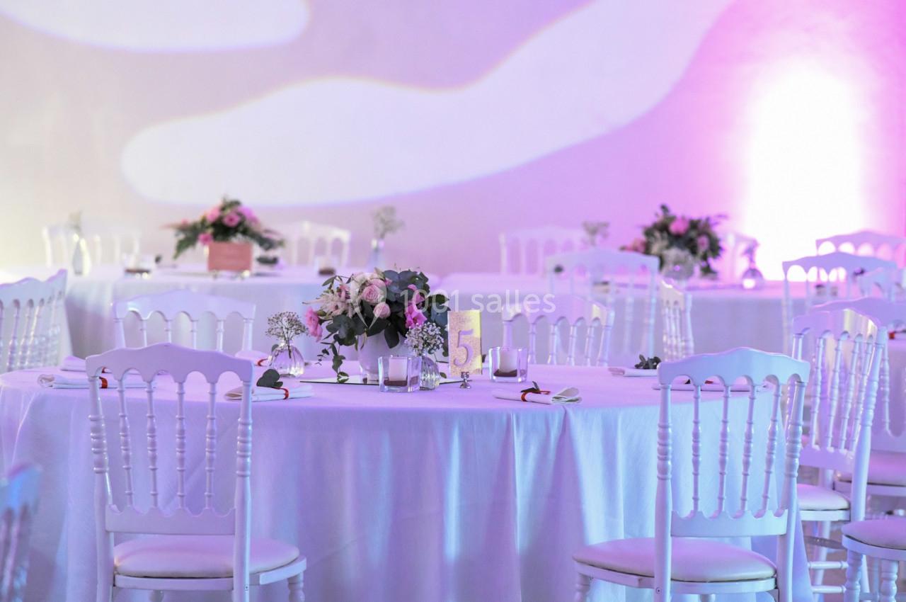 Location salle Mirepeisset (Aude) - Domaine de l'Herbe Sainte #9