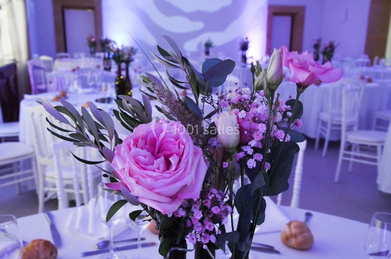 Location salle Mirepeisset (Aude) - Domaine de l'Herbe Sainte #12