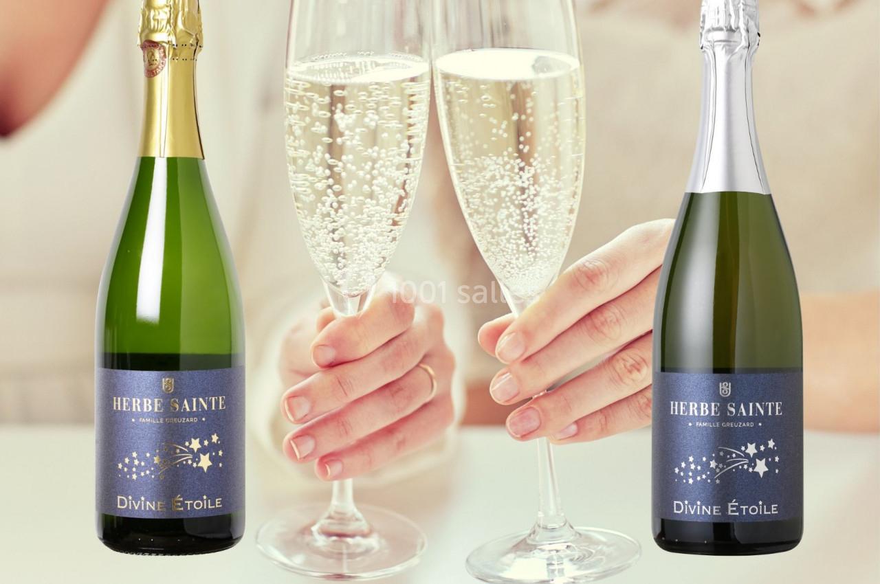 Location salle Mirepeisset (Aude) - Domaine de l'Herbe Sainte #33