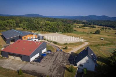 Oscar's Home Oscar's Home