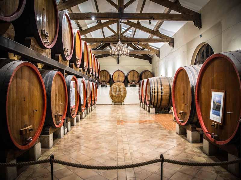 Salle de vieillissement avec de grands fûts en bois alignés sous une charpente apparente.