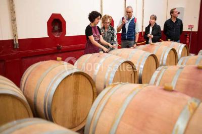 Une voiture bleue traverse un chemin bordé de vignes et de murets en pierre sous un ciel dégagé.