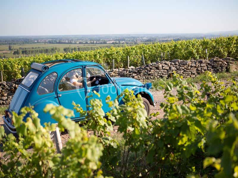 Une voiture bleue traverse un chemin bordé de vignes et de murets en pierre sous un ciel dégagé.