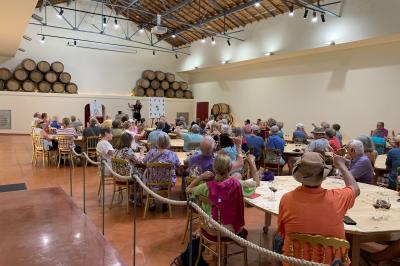 Une voiture bleue traverse un chemin bordé de vignes et de murets en pierre sous un ciel dégagé.