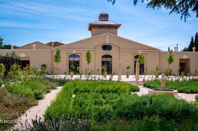Une voiture bleue traverse un chemin bordé de vignes et de murets en pierre sous un ciel dégagé.