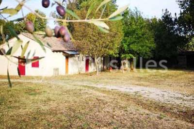 Puech Long Lodge - photo 4