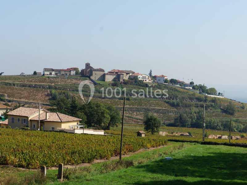 Château du Bluizard - galerie - photo 1